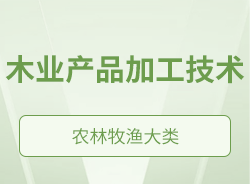 木業(yè)產(chǎn)品加工技術(shù)